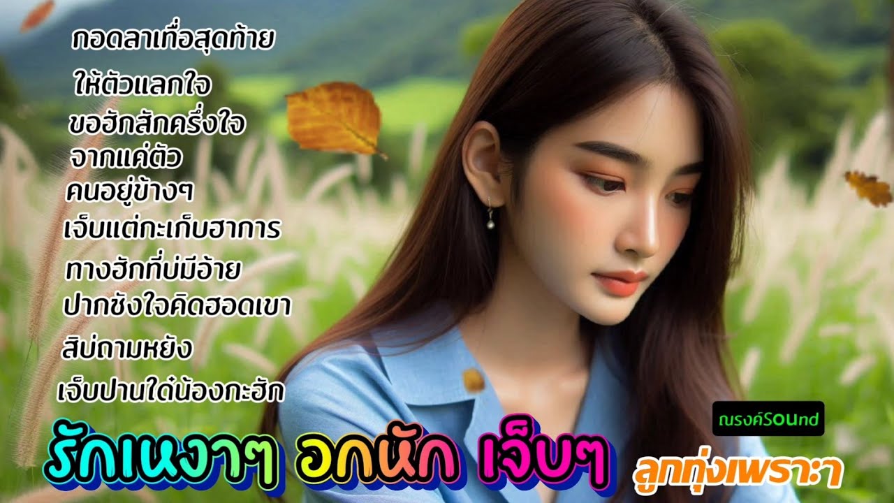 เพลงลูกทุ่ง อารมณ์เหงาๆ ความรักอกหัก เจ็บๆ ณรงค์Sound