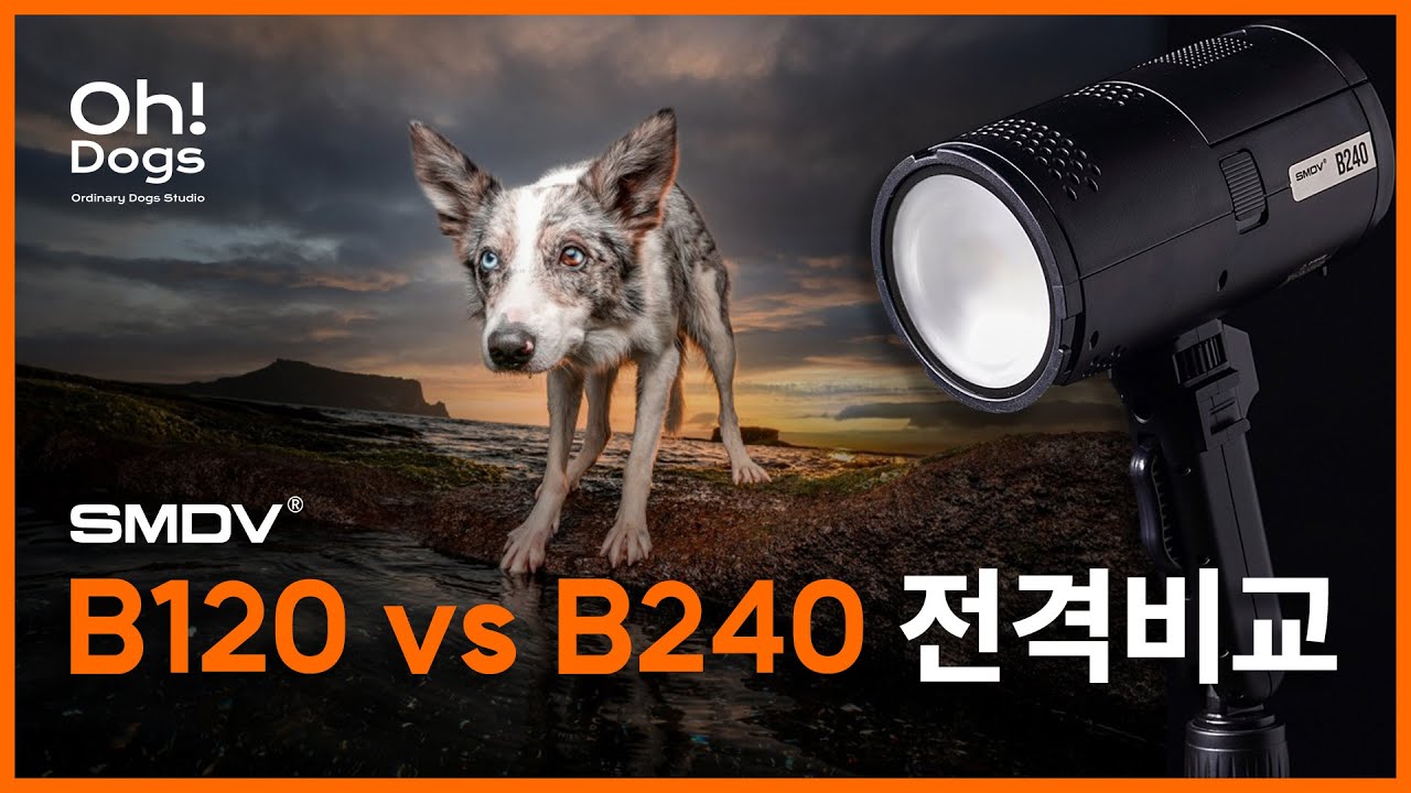SMDV B120 vs B240 / 추가할 필요가 있을까? 🤔
