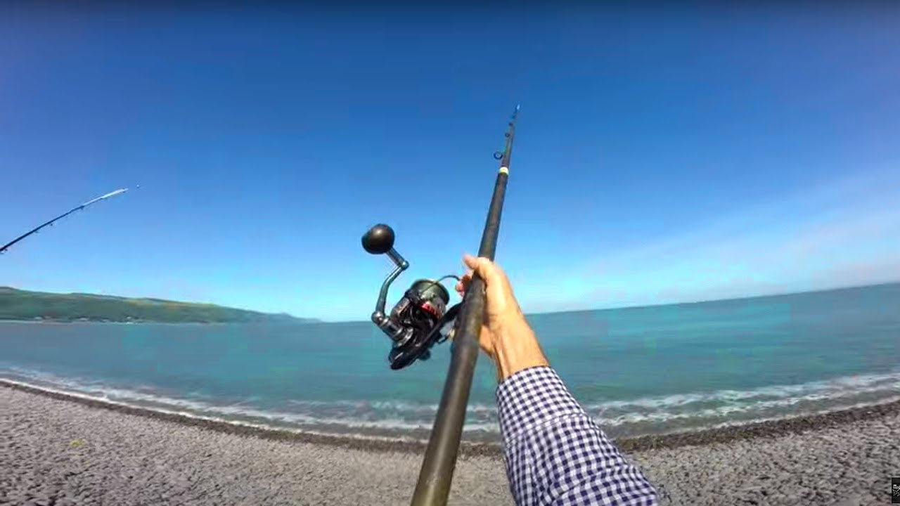 Beach Fishing | Is this the Ultimate Sea Fishing Bait??