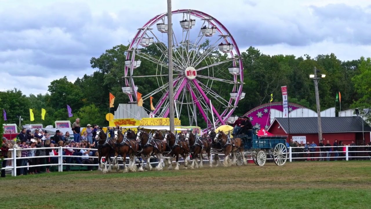 Ten Horse Hitch Carp Fair 2018
