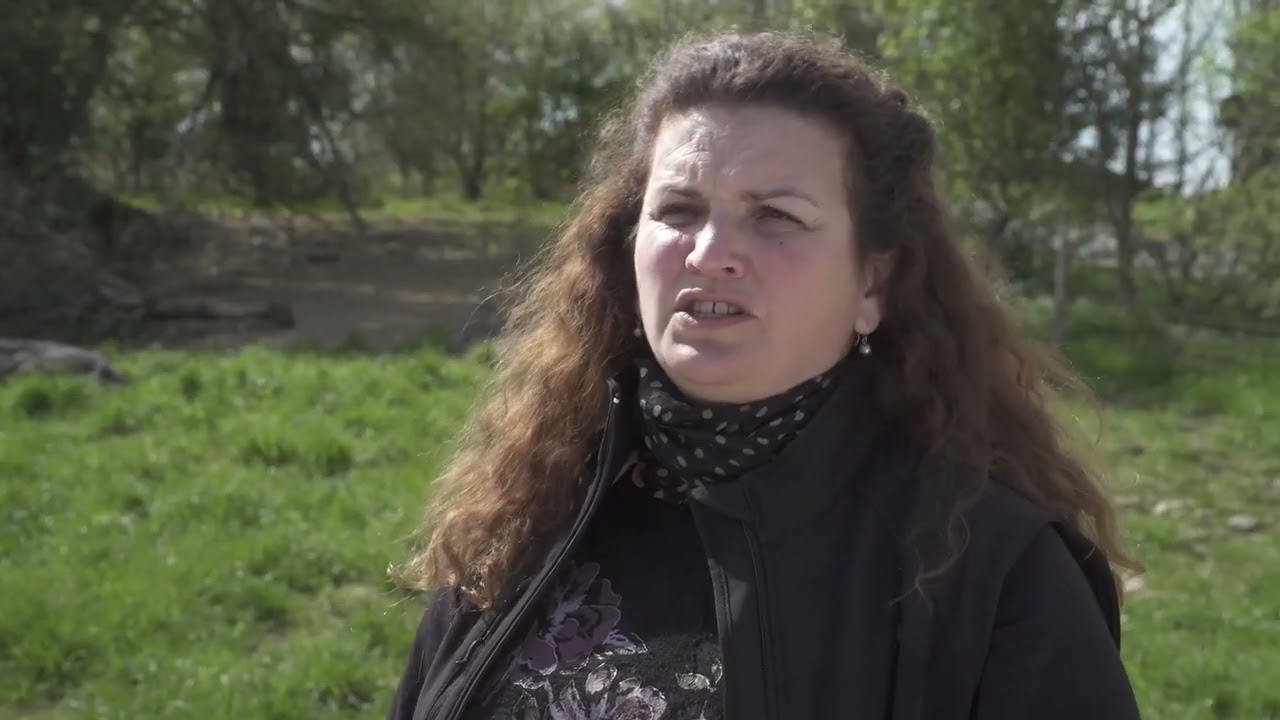 EARL des Frênes : Races locales en sauvegarde : le porc noir de Bigorre