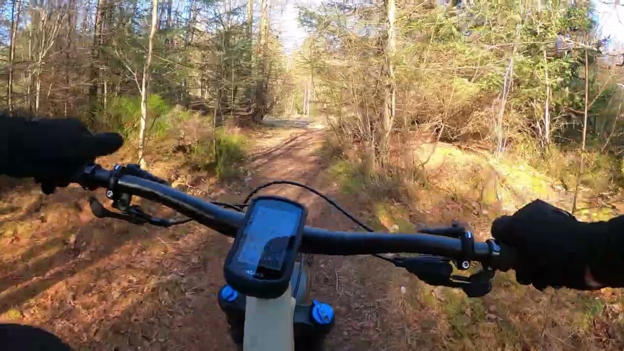 Broxa  Forest