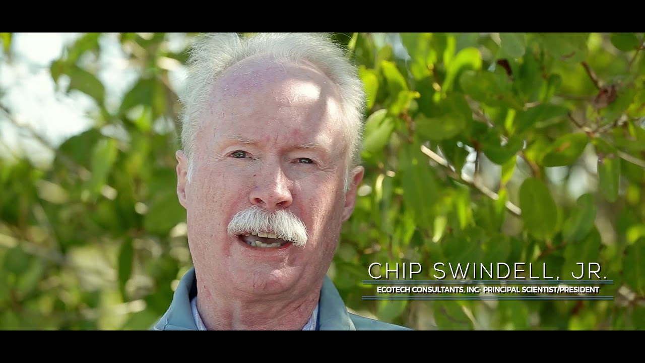 Spoonbill Marsh Short Documentary Film  Video Production Vero Beach by Verola Media