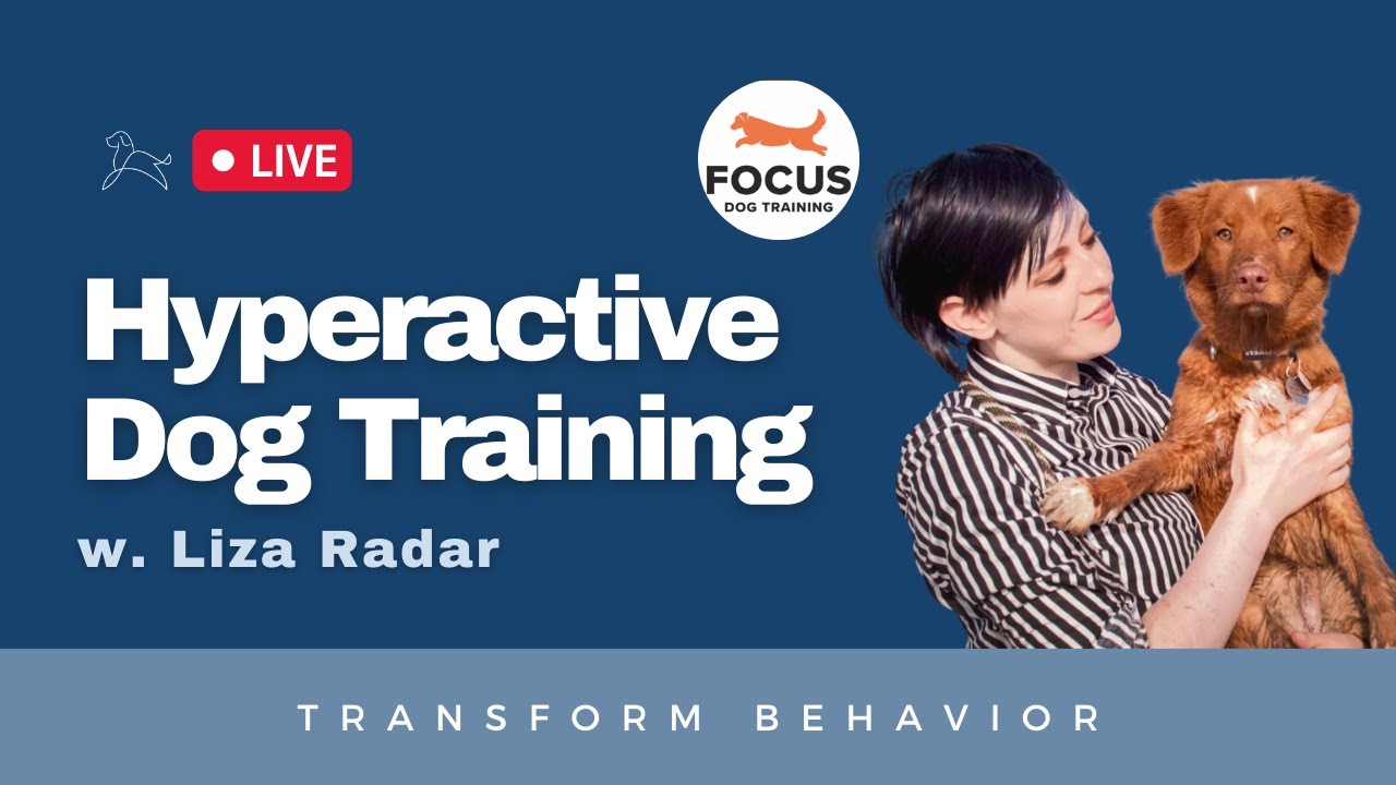Hyperactive Dogs w Liza Radar