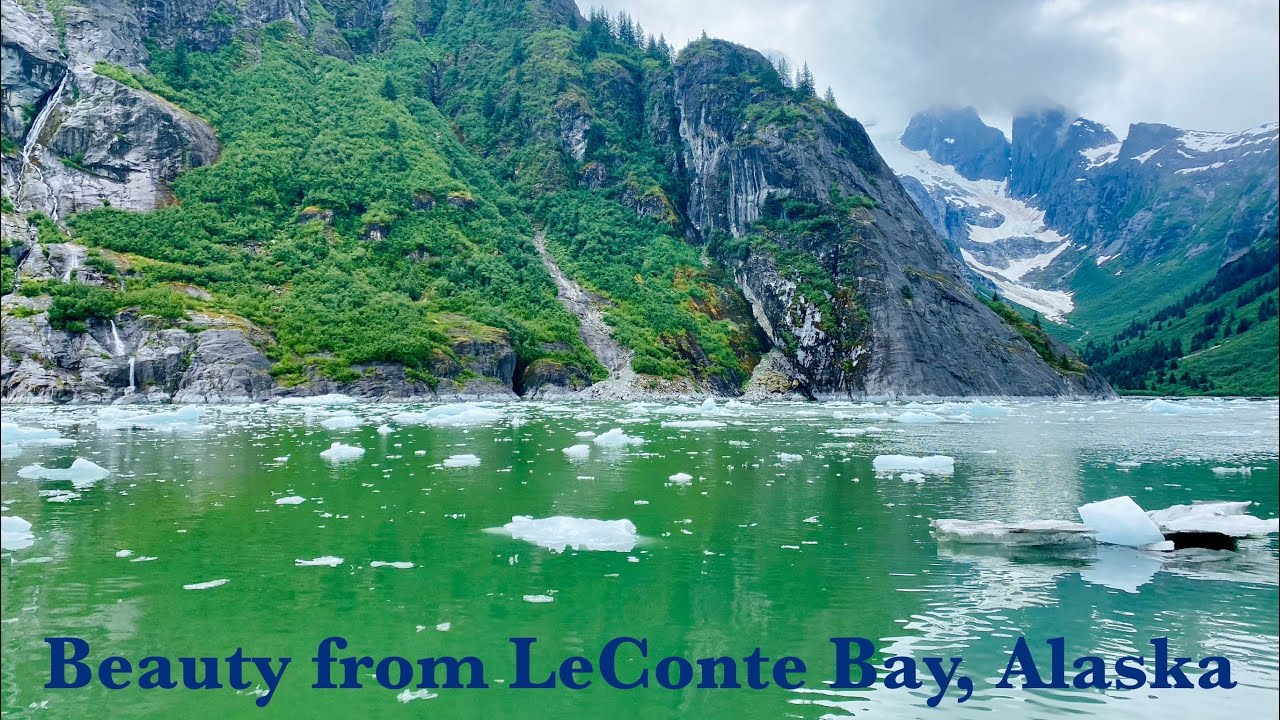 The Breathtakingly Scenic LeConte Bay and Glacier @seekalaskatours 