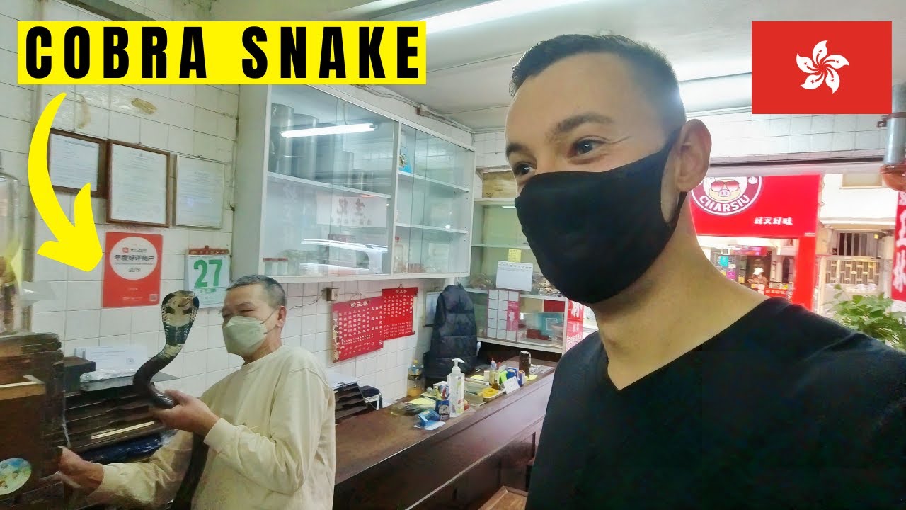 I Ate Snake For Lunch In Hong Kong 🇭🇰