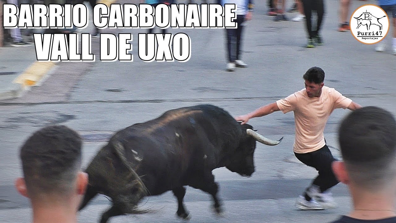 COMO SE LA JUEGAN EN LA CALLE😱😨BARRIO CARBONAIRE👀💥 TORO A CAJON 2025🙌