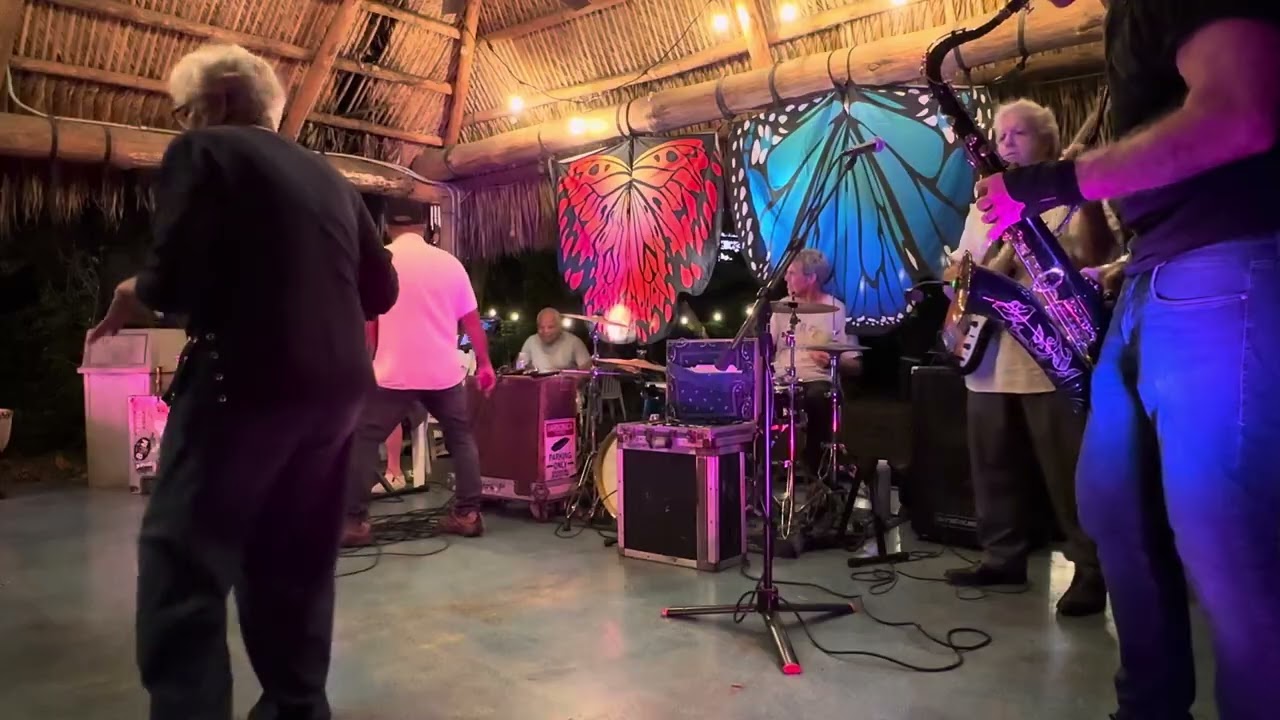 “Blue  Suede Shoes” Clay Goldstein band featuring Jake on vocals and keys