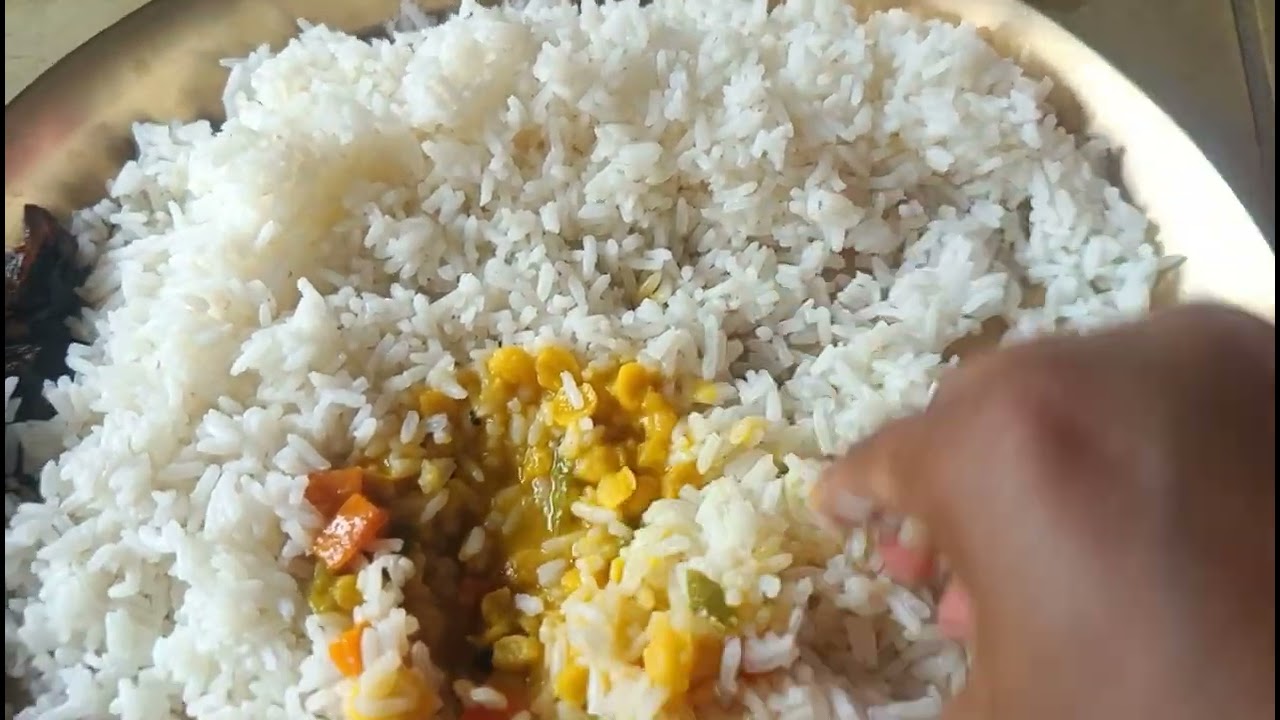 ছেলেকে শেষমেশ সরকারি স্কুলে ভর্তি করলাম || #bengalivlog 