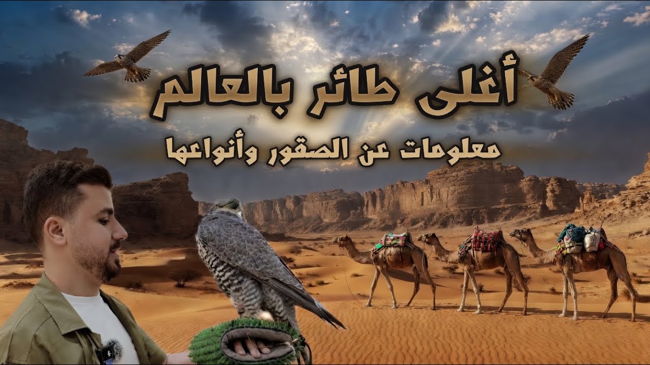 تغطيتي لمعرض الصقور والصيد السعودي الدولي 🇸🇦International Saudi Falcons and Hunting Exhibition 2025