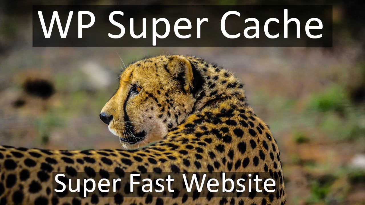 How to use WP Super Cache - WordPress
