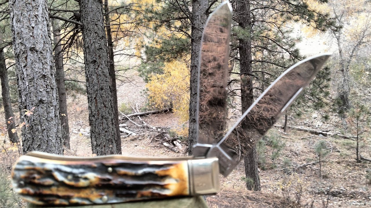 ~ SPECIAL EDITION ~ Rough Ryder Cinnamon Bone Stag Jumbo Trapper RR2431 ~ Carbon steel & bone