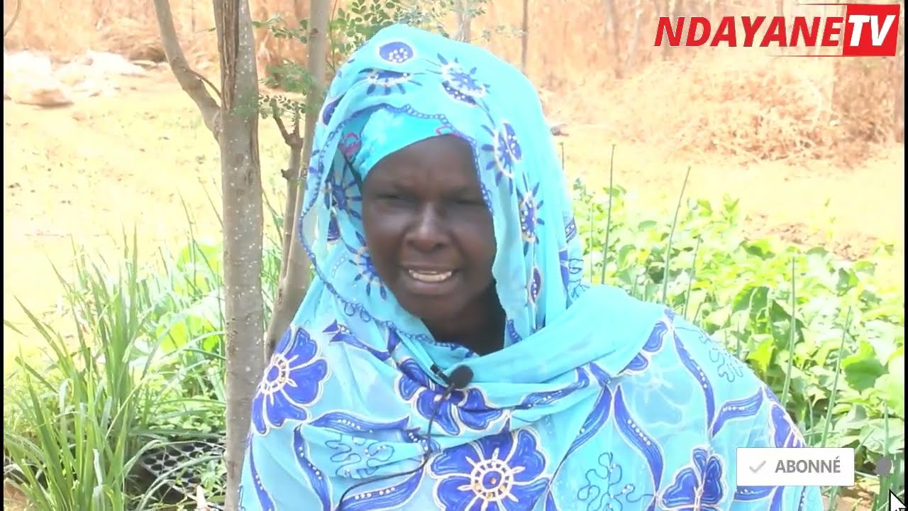 COMMUNE  POPENGUINE-NDAYANE: à la rencontre de l'association(Femme Maraîchage de Popenguine Ndayane