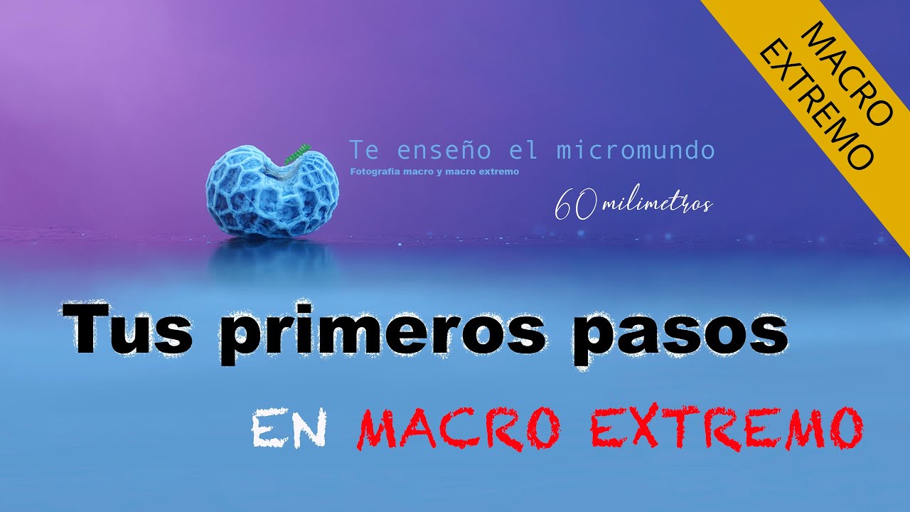 Tus primeros pasos en MACRO EXTREMO - La gu&iacute;a definitiva!