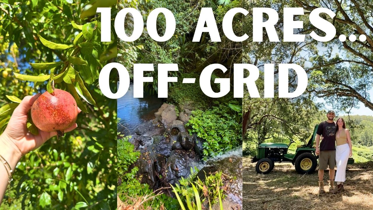 We Bought an Abandoned 100 Acre Off-Grid Property in Australia