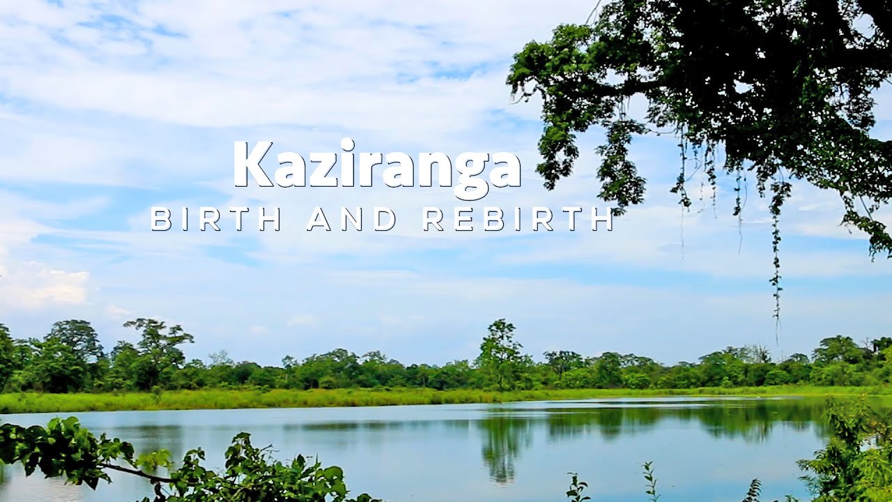 Kaziranga: Birth and Rebirth | Nature’s balance through Floods of Assam | @RoundglassSustain