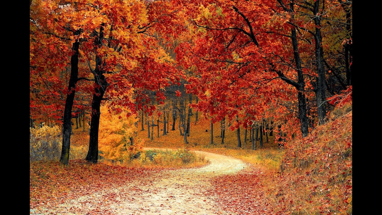 Pastor Ken Shaver | How to Build a Closer Relationship with God Through Daily Practices