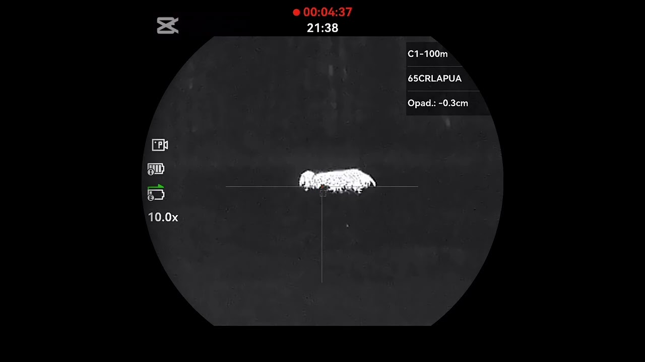 Strzał do dzika łaciatego wycinka Hikmicro SX60L 