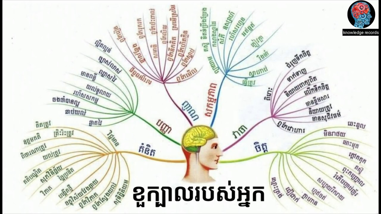 សិក្សាអំពីខួក្បាលវគ្គ១  How Your Brain Processes Information   How the Brain Works