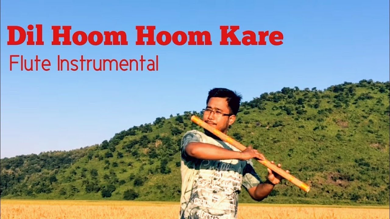 Dil hoom hoom kare Flute Cover
