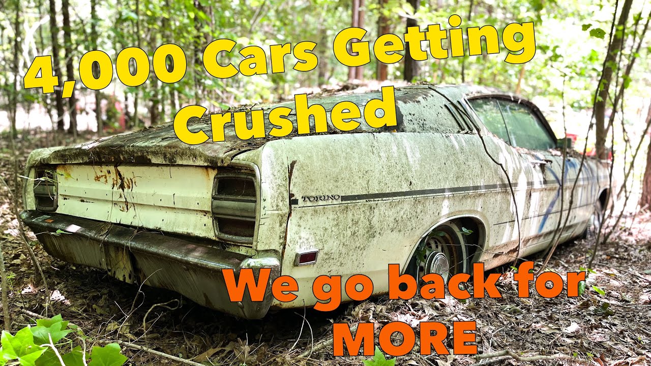 4000 antique cars getting crushed! We go back to save more!