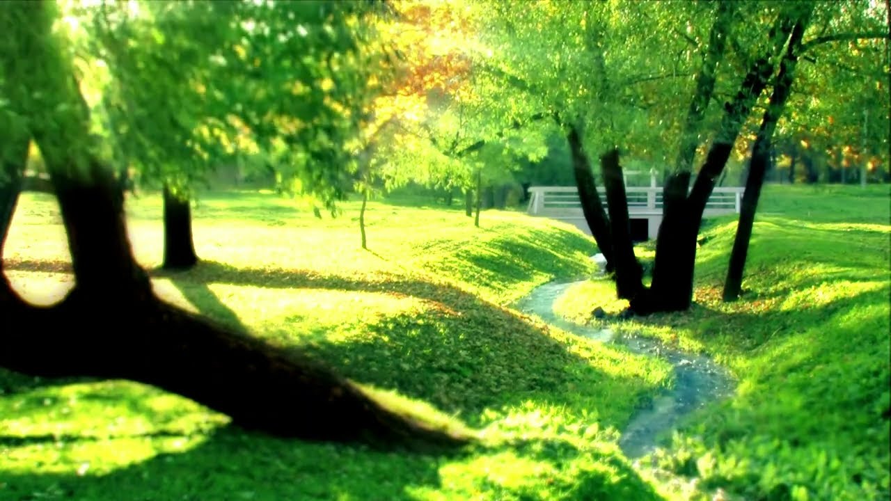 City Park Sounds For Relaxation | White Noise & Study Aid | Bird Sounds