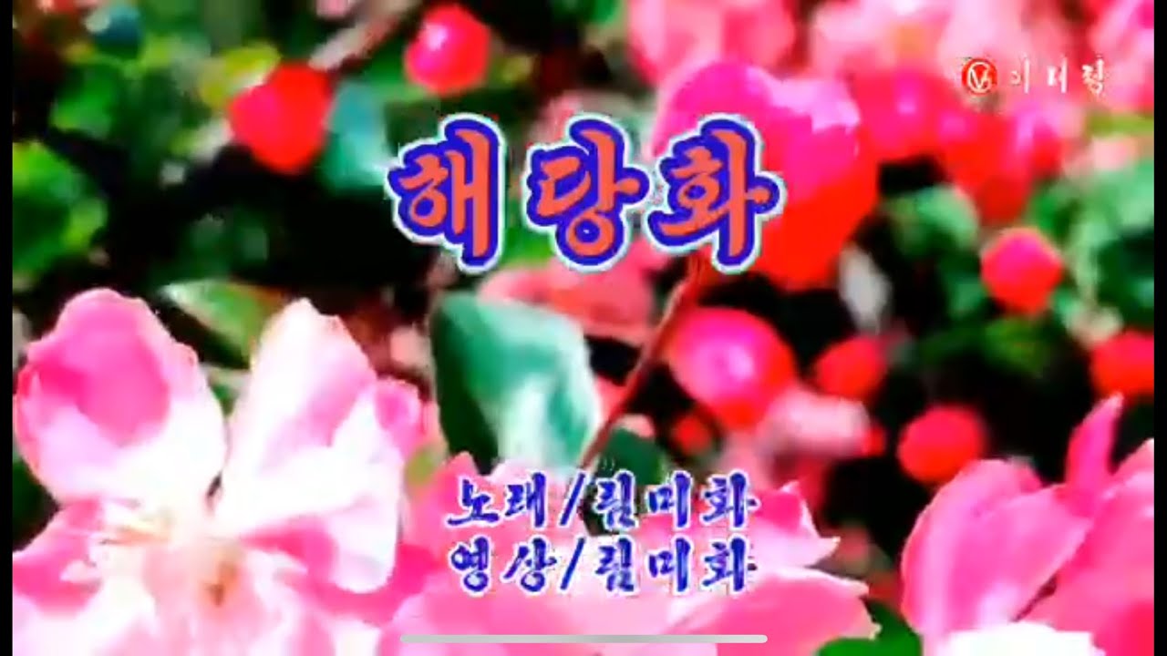 영상가요 - 해당화 (노래 ,영상편집: 아리랑视频群림미화)