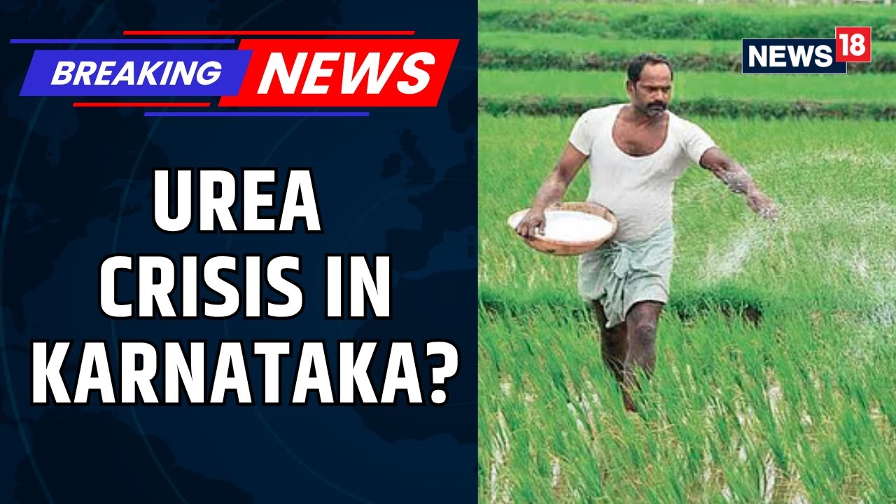 Karnataka CM Siddaramaiah Write To JP Nadda, Flagging Urea Fertilizer Shortage In The State | News18