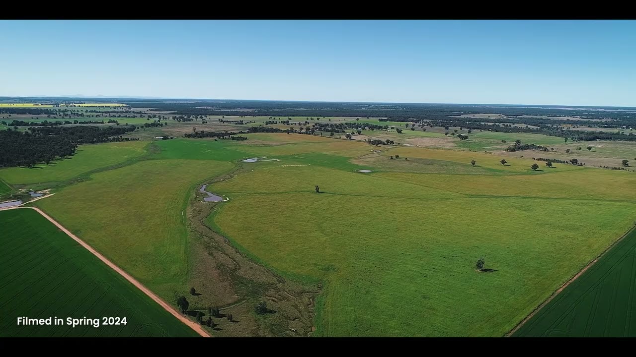 'Part Chelsea' North Terramungamine, Dubbo