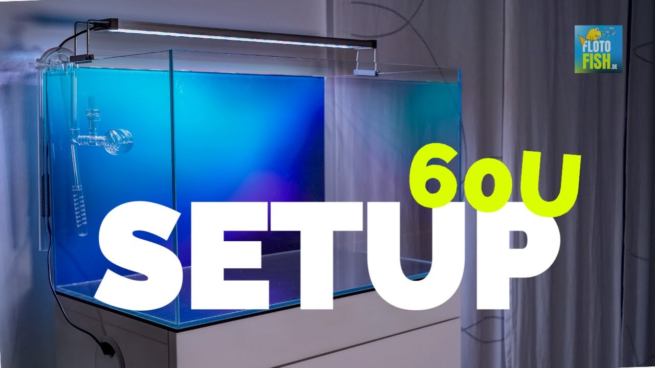 Setting up a new Aquarium | UNS 60U
