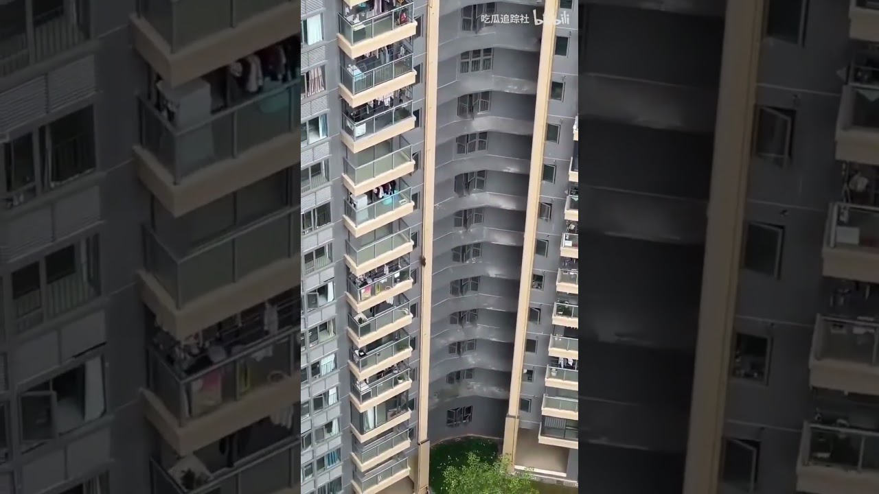 Monkey climbing a building!