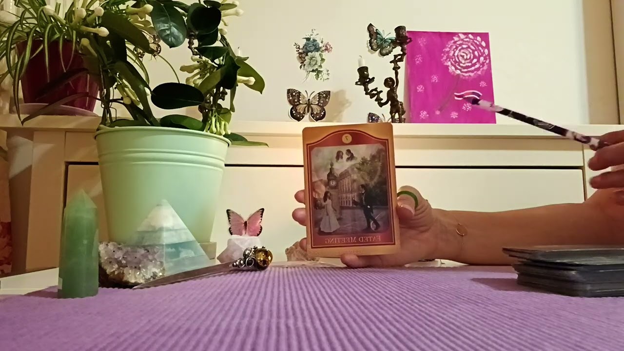 🌳🦉Tarotul de la miezul nopții🦉🌳Întâlnire sortită🌳🦉Îmi place să știu că nu eu sunt vinovatul🌳🦉