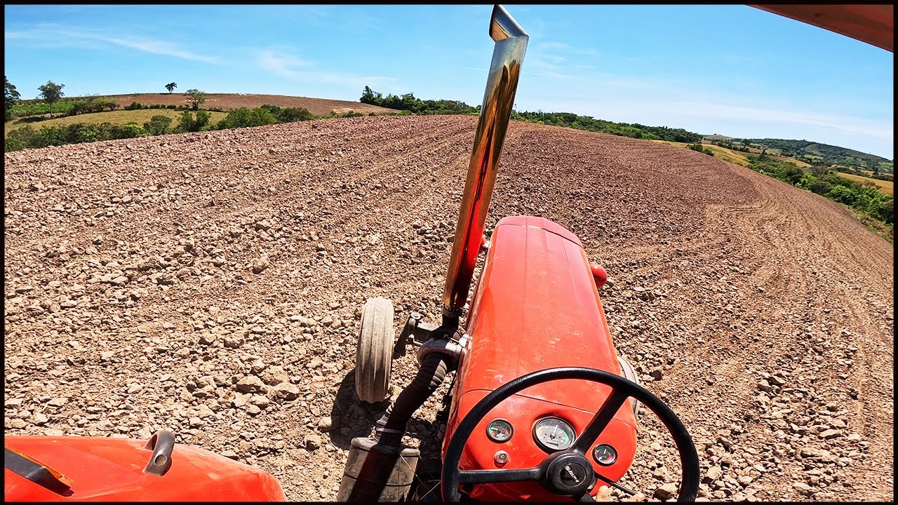 FINALIZANDO A PRIMEIRA E MAIOR PARTE DA LAVOURA! MASSEY FERGUSON 95X TURBO! PRESSÃO NO PLANTIO!