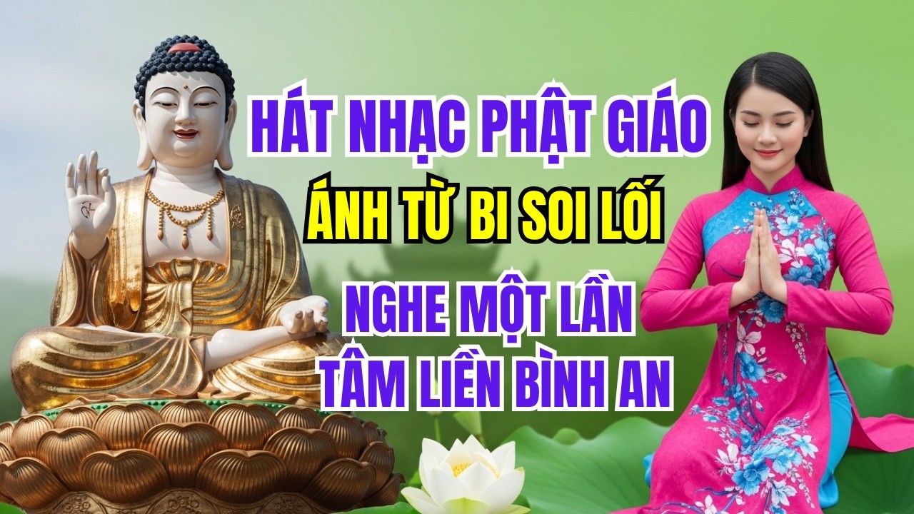 Hát Nhạc Phật Giáo | Ánh Từ Bi Soi Lối – Nghe Một Lần Tâm Liền Bình An