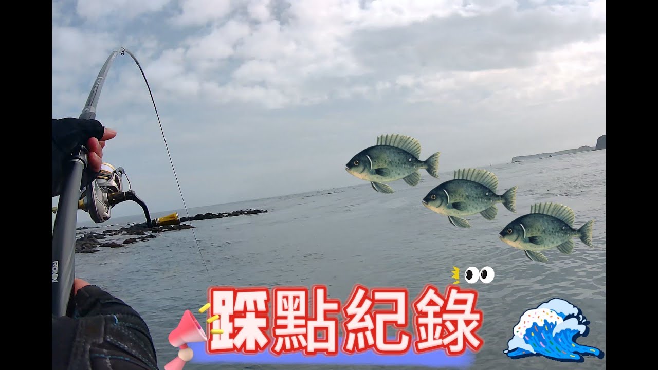二二八 連續假期 期待已久 最後一天 征戰 開釣 磯釣 鍊餌 不凍蝦 象魚 臭肚魚 鸚哥魚 三人行 凸礁 20250302