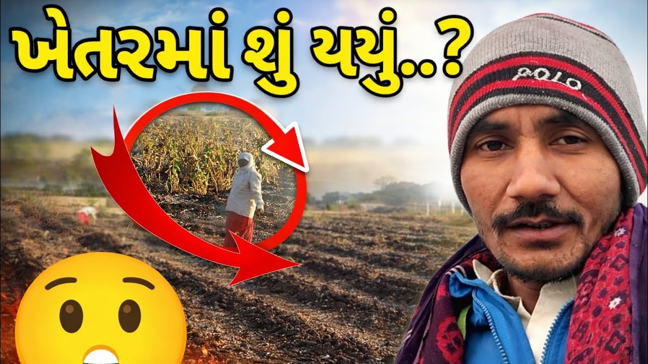 ખેતરમાં આજે શું થયું? 😲 | વાડીમાં કામનો મસ્ત દિવસ||Gujarati Daily Vlogs ||Maru Gaam Vlogs 
