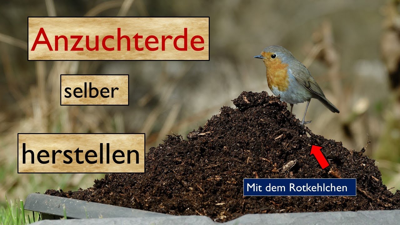 Anzuchterde / Blumenerde selber herstellen - nachhaltig, umweltfreundlich, kostenlos