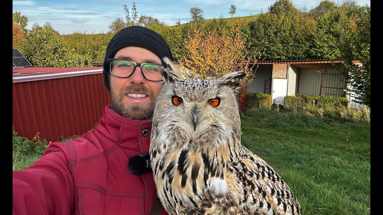 Größter Uhu, Vorbalz & die frierende Schneeeule 🦅🦉😊 - Greifvogelwarte Feldatal