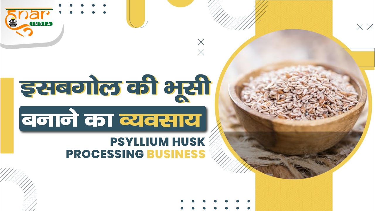 Psyllium Husk Processing Business | Isabgol Processing Business | Hunar India