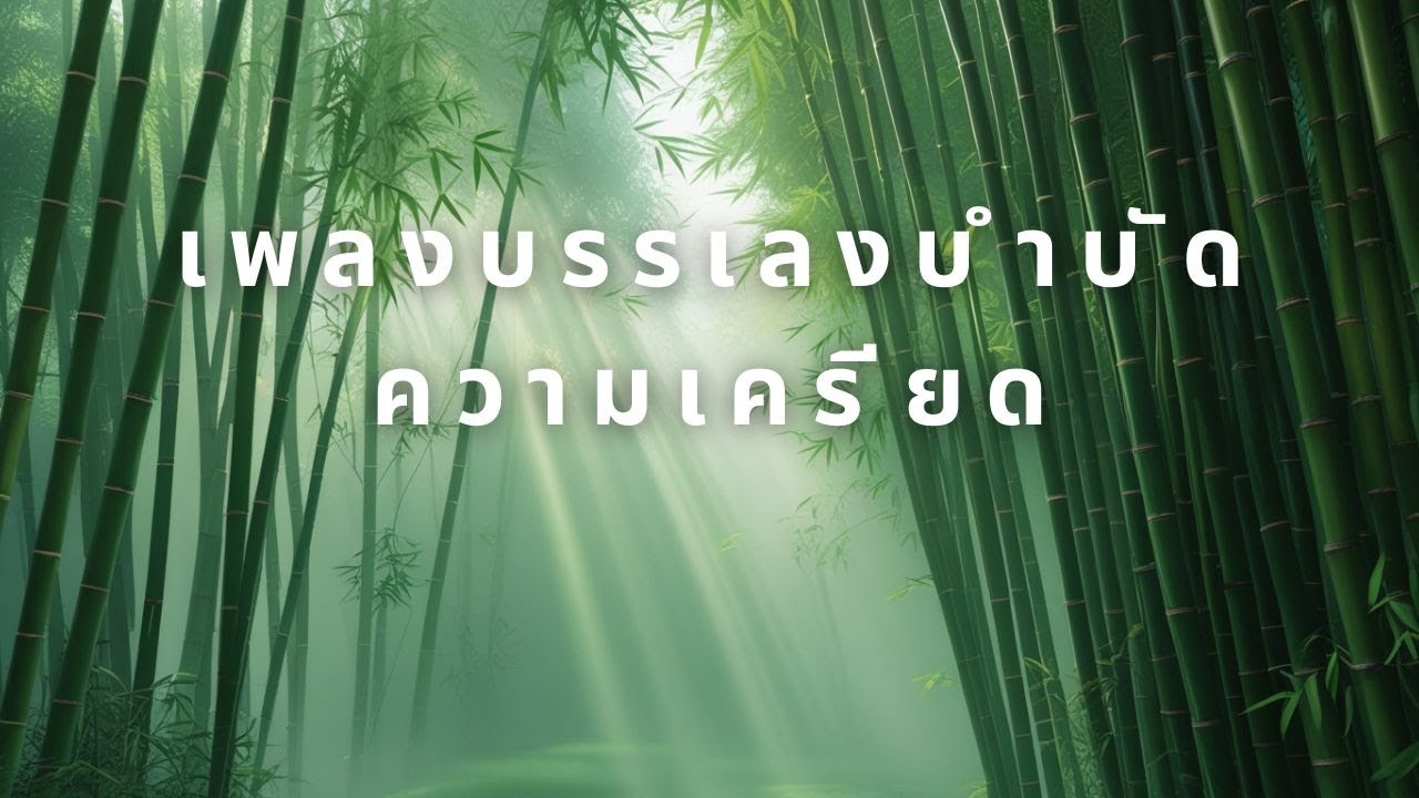 เพลงเงียบในใจ | ดนตรีเบาพิเศษสำหรับคนคิดเยอะและใจวุ่นวาย