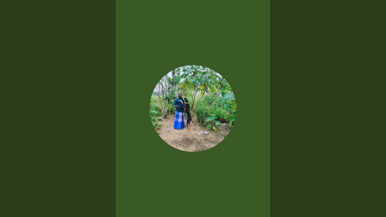 LITHISHA is live #யாரும் நாம் கூட கடைசிவரை வருவதில்லை அதனால் யாரையும் நம்பி இருக்கதே😜😜😜😜#