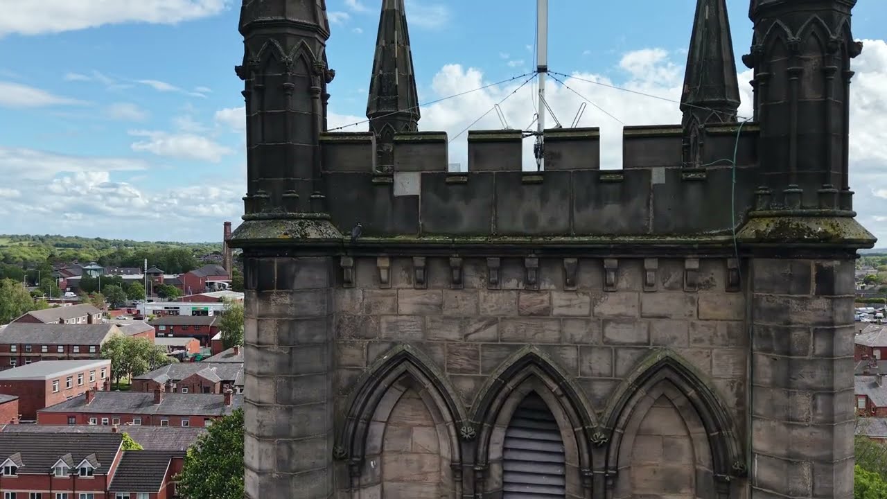 Chorley peregrine