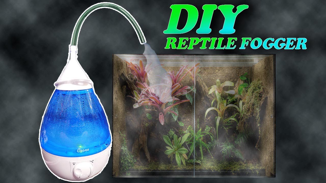 DIY REPTILE FOGGER
