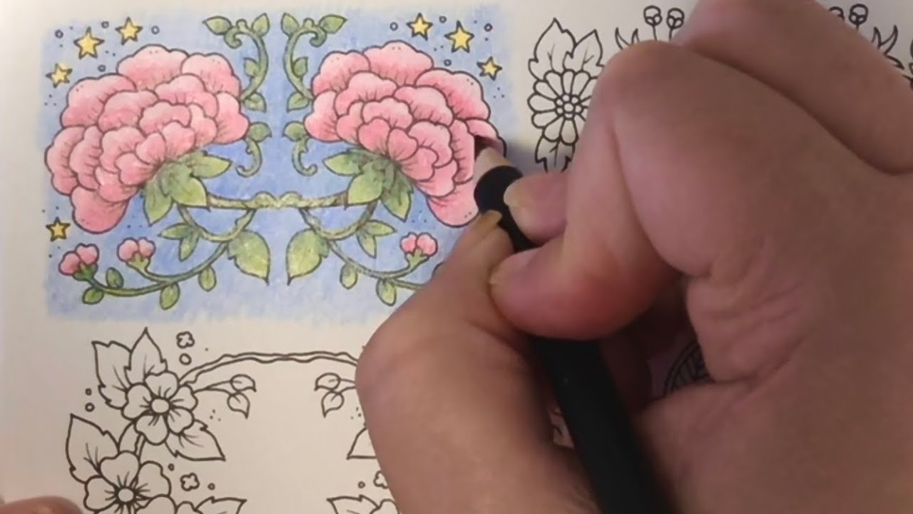 Johanna Basford Small Victories | Starlight Garden with Castle Arts Coloured Pencils