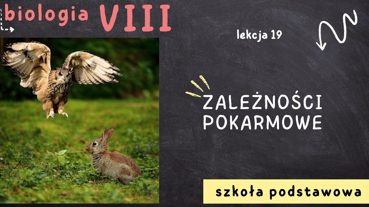 Biologia 8 [Lekcja 19 - Zależności pokarmowe]