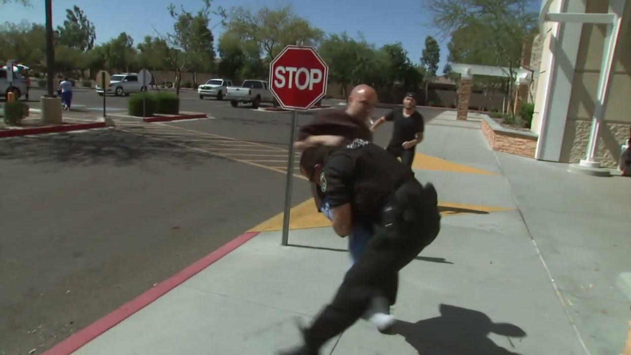 Cops Season 28 Intro (2015-2016)