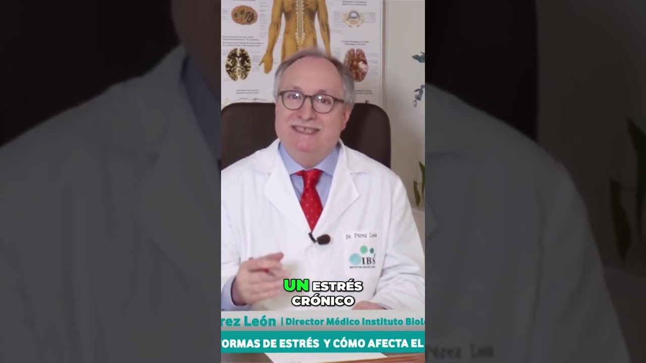 Efectos del Estr&eacute;s Cr&oacute;nico: Da&ntilde;os y Soluciones