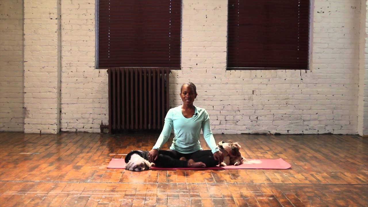 Spiritually Fly Yoga Sequence (root chakra #1)