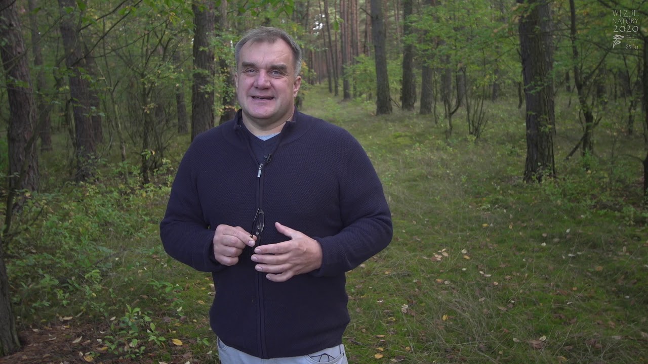 Warsztaty prosto z terenu: Marcin Kostrzyński - „Z przyrodą na Ty”