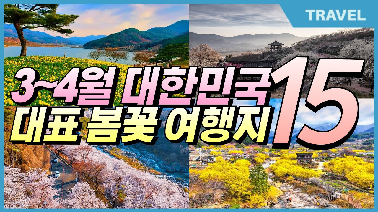 2025년 3월~4월 봄꽃 여행지 15곳, 한국에서 가장 아름다운 꽃놀이 명소 #3월봄꽃여행지추천, #봄꽃여행, #국내여행지추천 